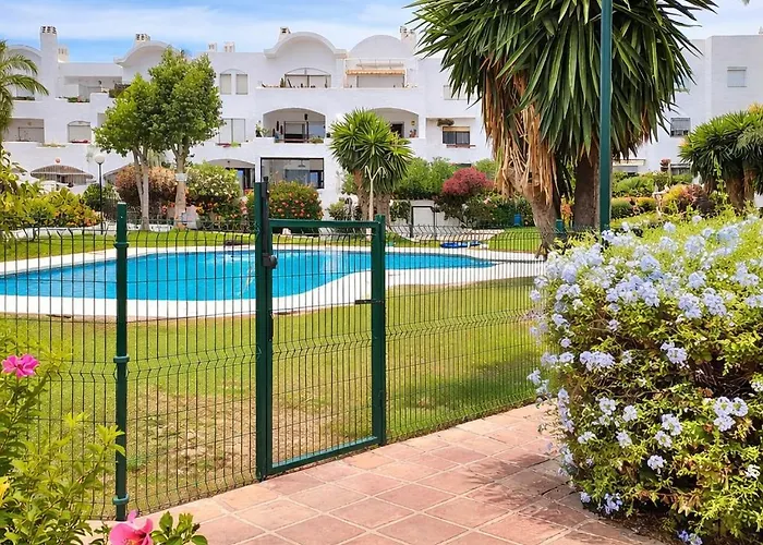 Noctua Benavista 026 *